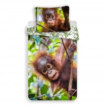 Orangutan